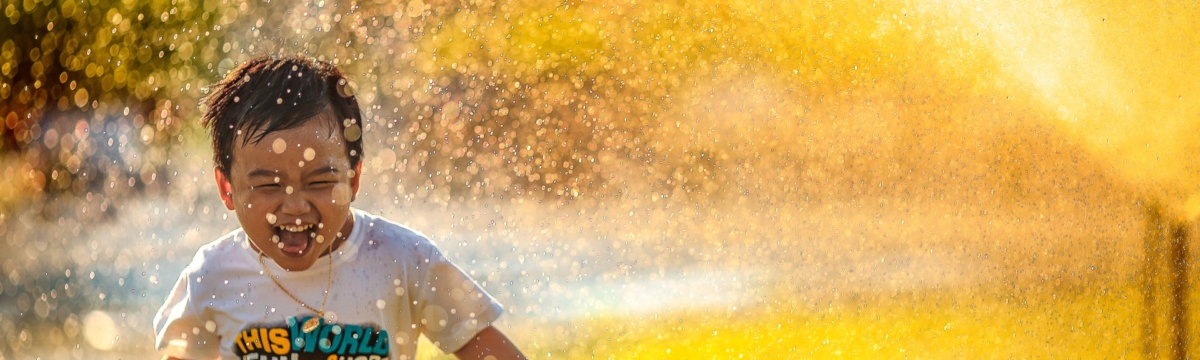 banner image